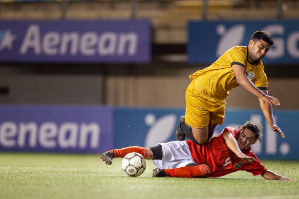 高度肯定 高度肯定