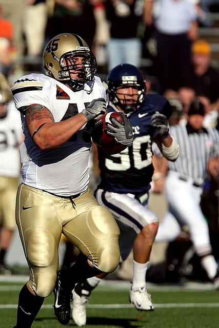 己的能力和 己的能力和